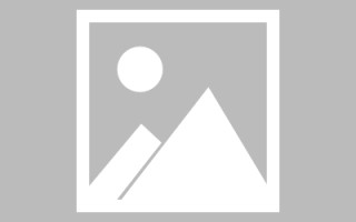 沈阳自助网站建设怎么建设的（自助网站建设平台）